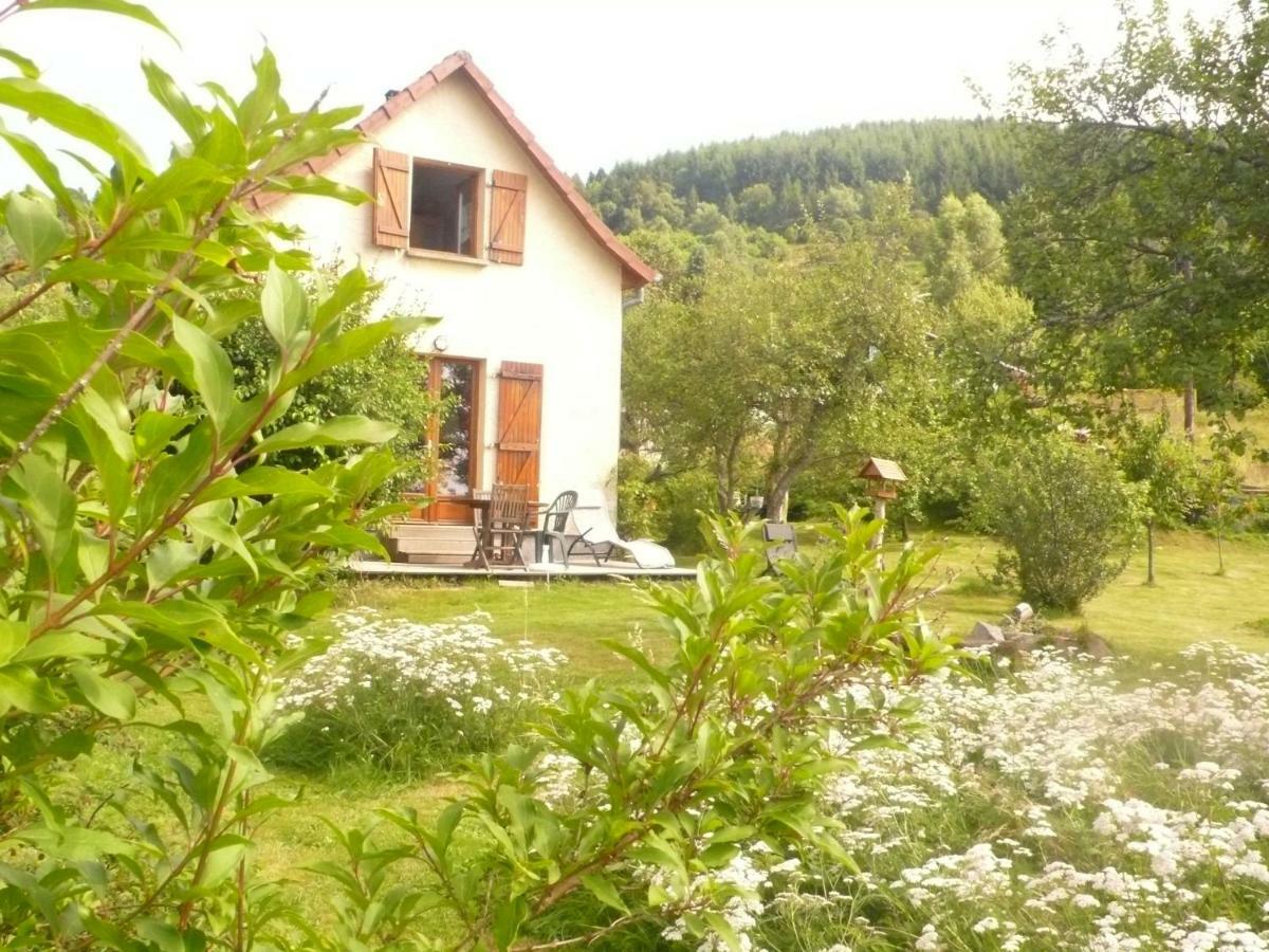 Maison Independante De Montagne En Alsace Bellefosse Exterior foto